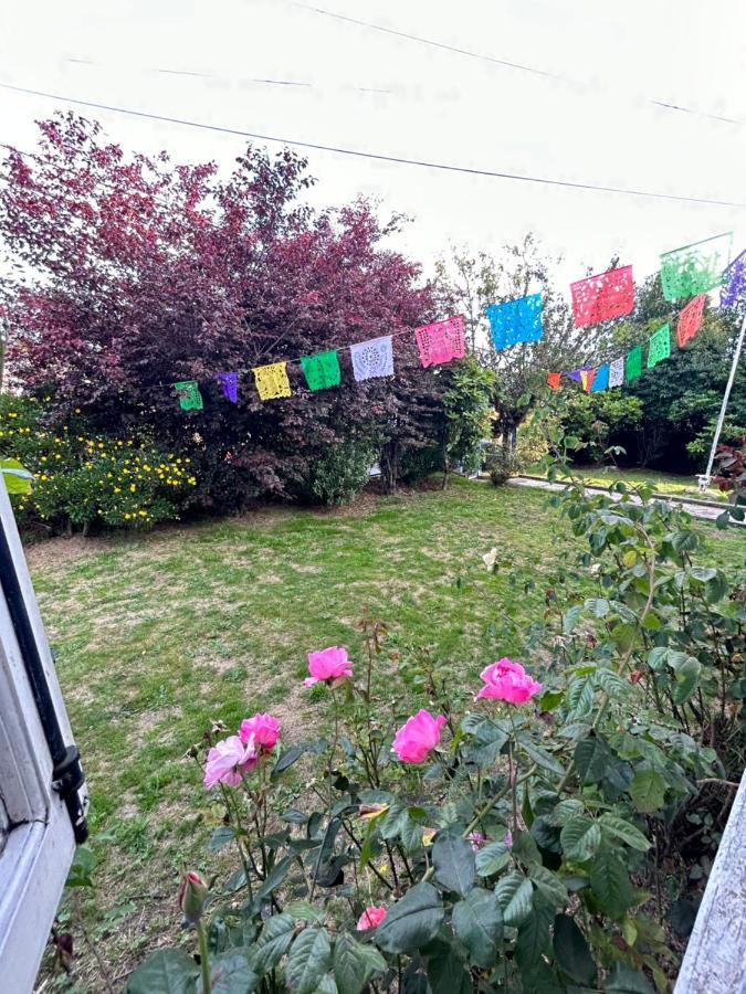 Purple Fox Otel Ancud Dış mekan fotoğraf