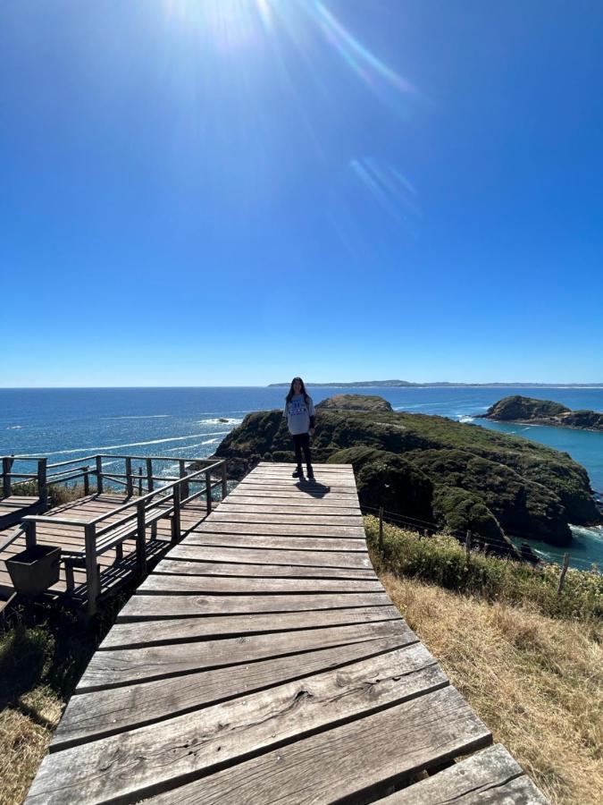 Purple Fox Otel Ancud Dış mekan fotoğraf